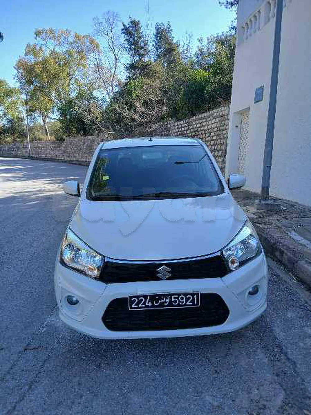 Carte voiture Suzuki Celerio