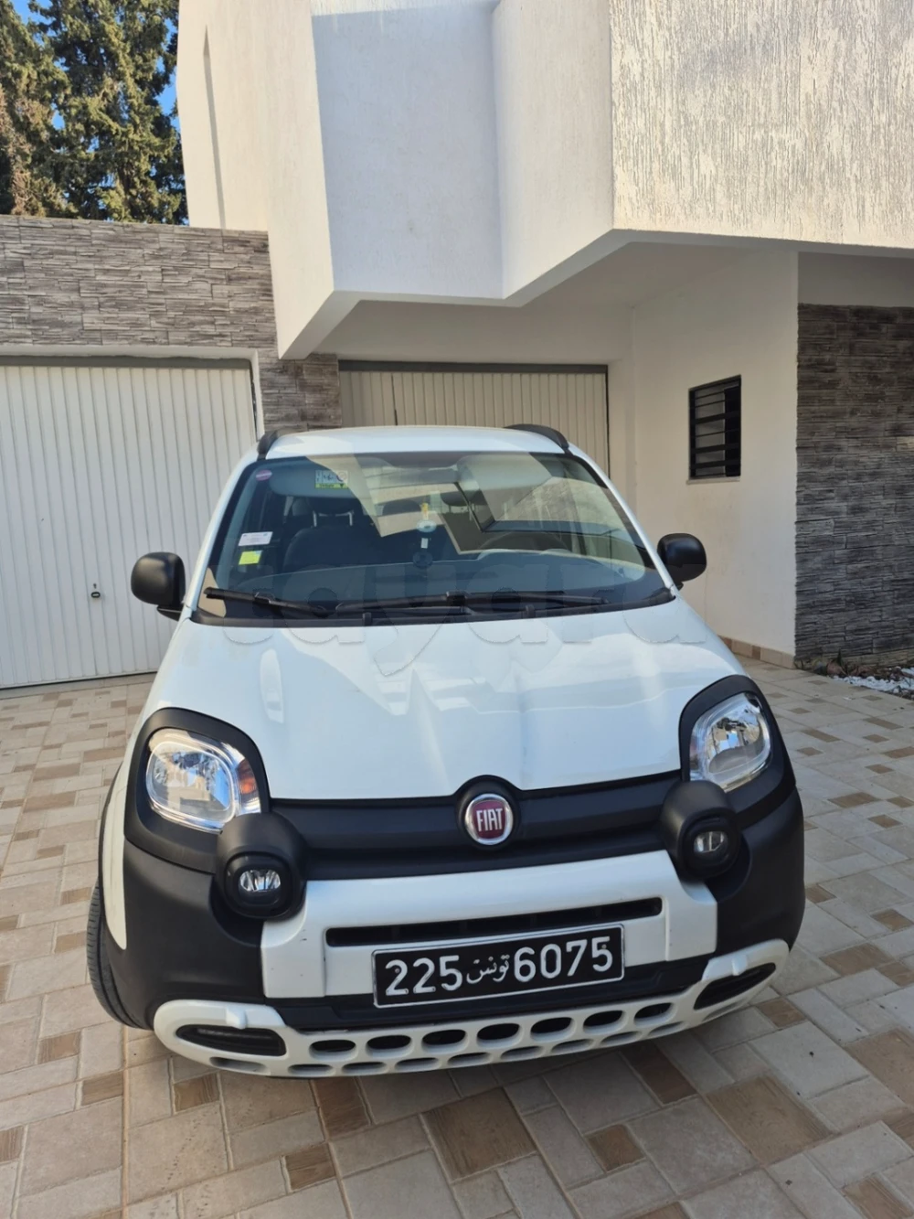 Carte voiture Fiat Panda