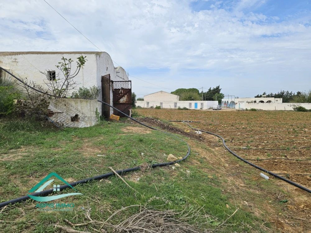 Terrain agricole 32 180 m² à Dar Allouch