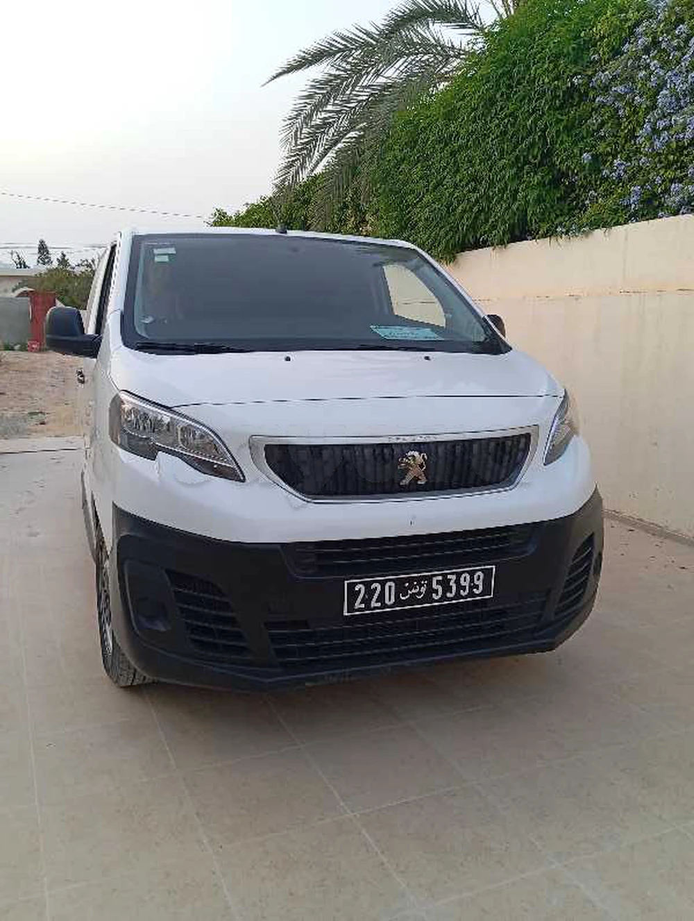 Carte voiture Peugeot Expert