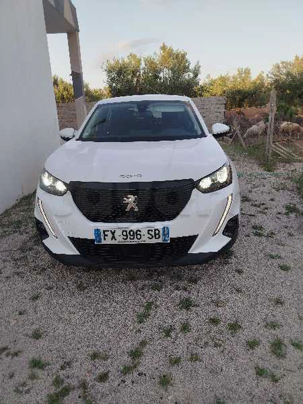 Carte voiture Peugeot 2008