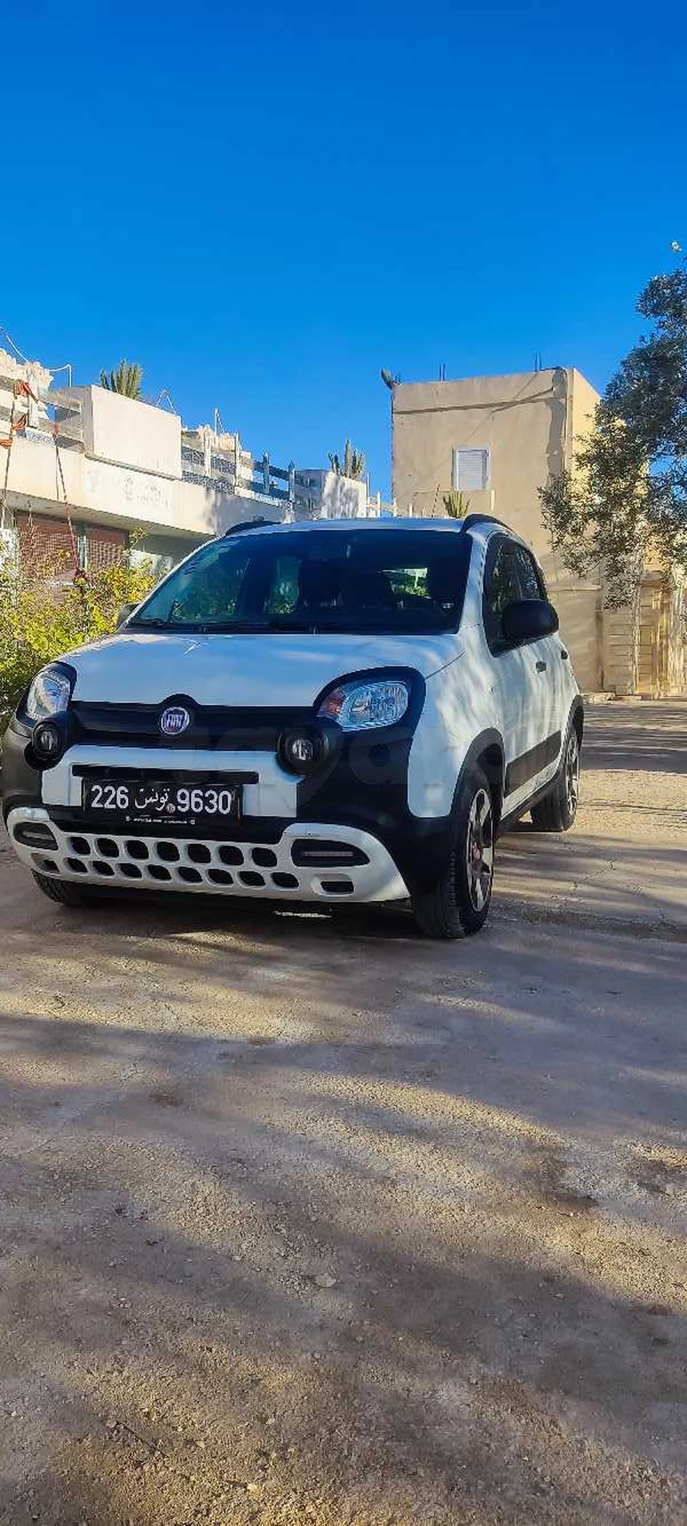 Carte voiture Fiat Panda