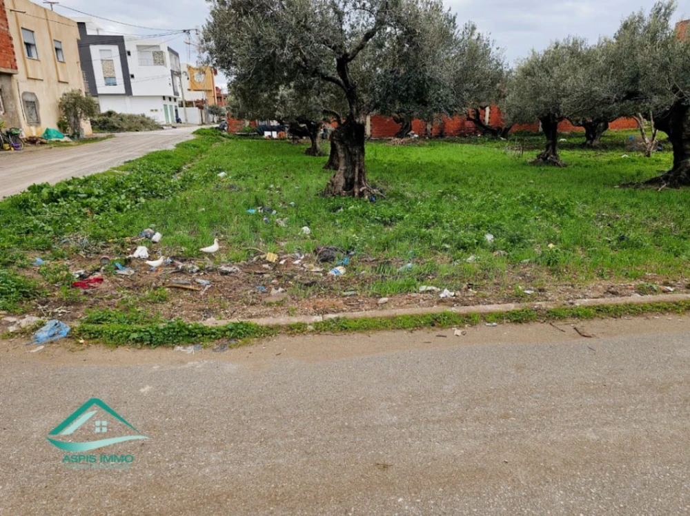Terrain d'habitation 240 M² à Tahert Kelibia