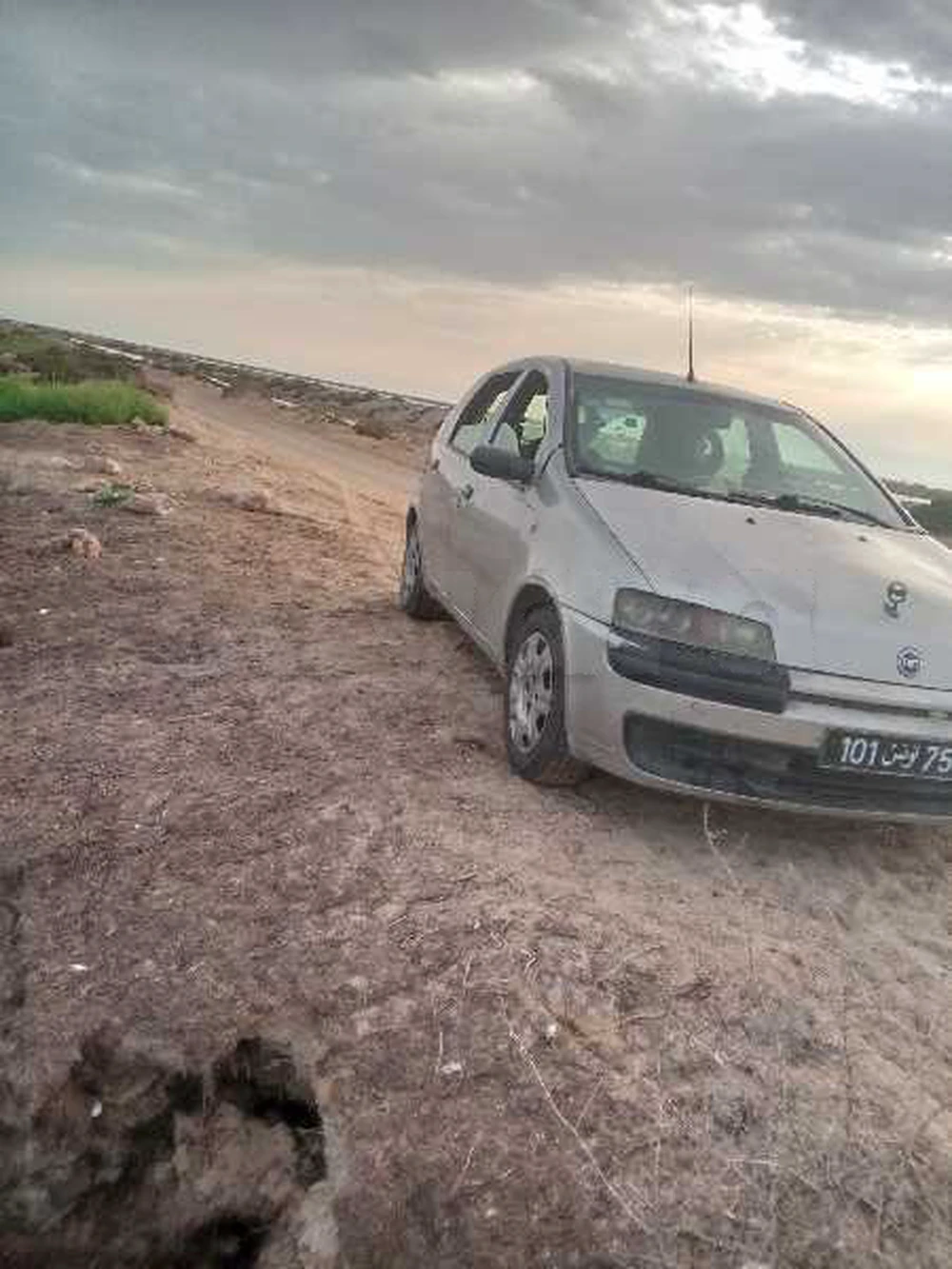 Carte voiture Fiat Punto