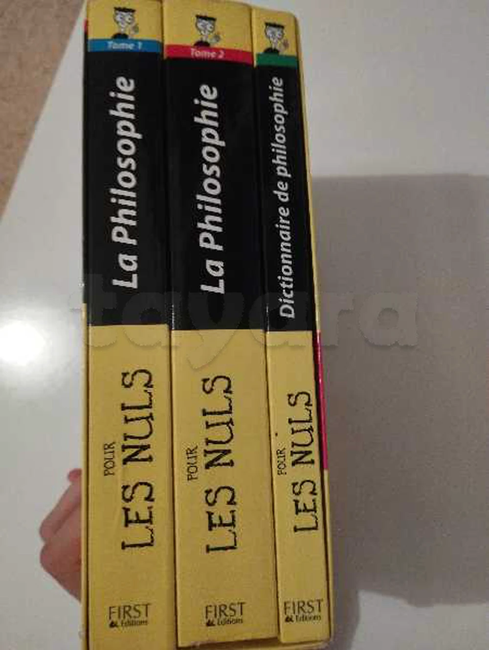 La Philosophie pour les Nuls – Christian Godin