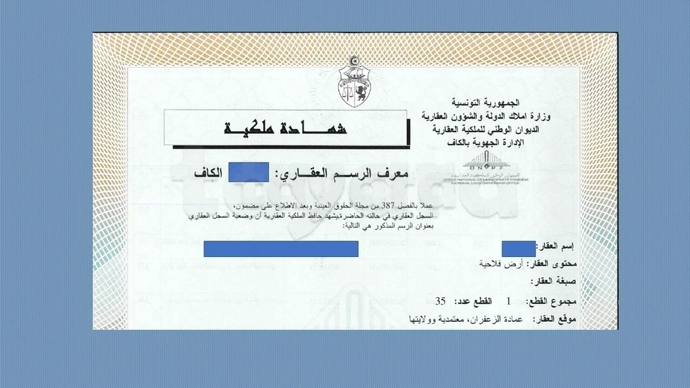 الكاف ببومفتاح ا لزعفران 1,4 هكتار