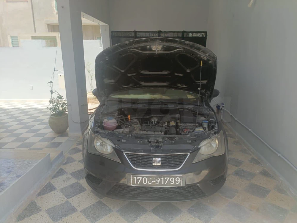 Carte voiture SEAT Ibiza