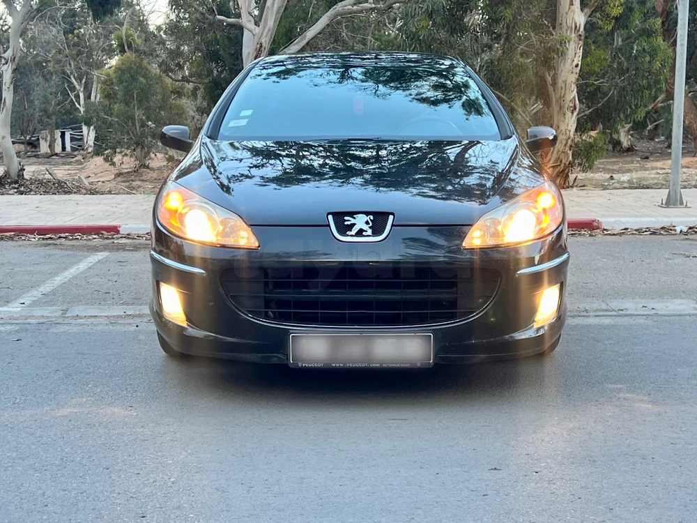 Peugeot 407