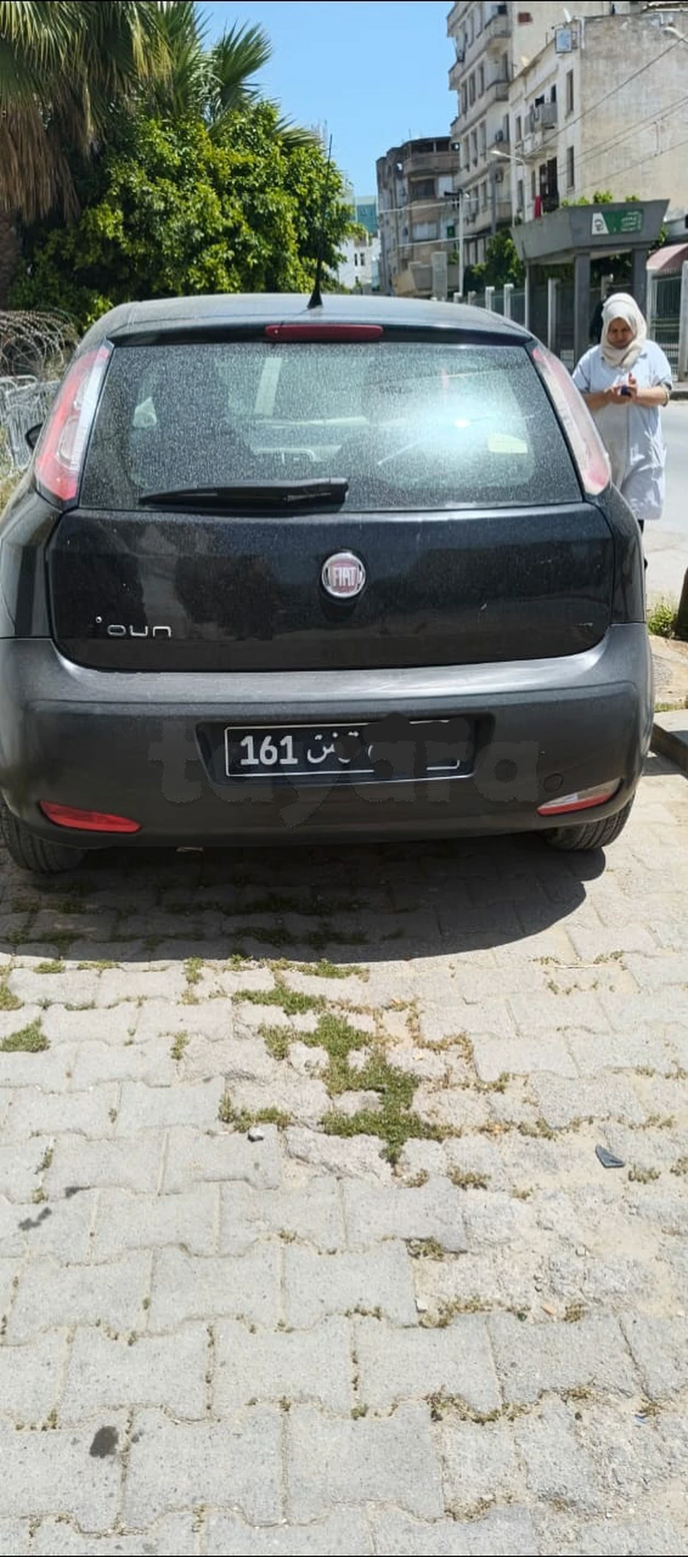 Carte voiture Fiat Punto