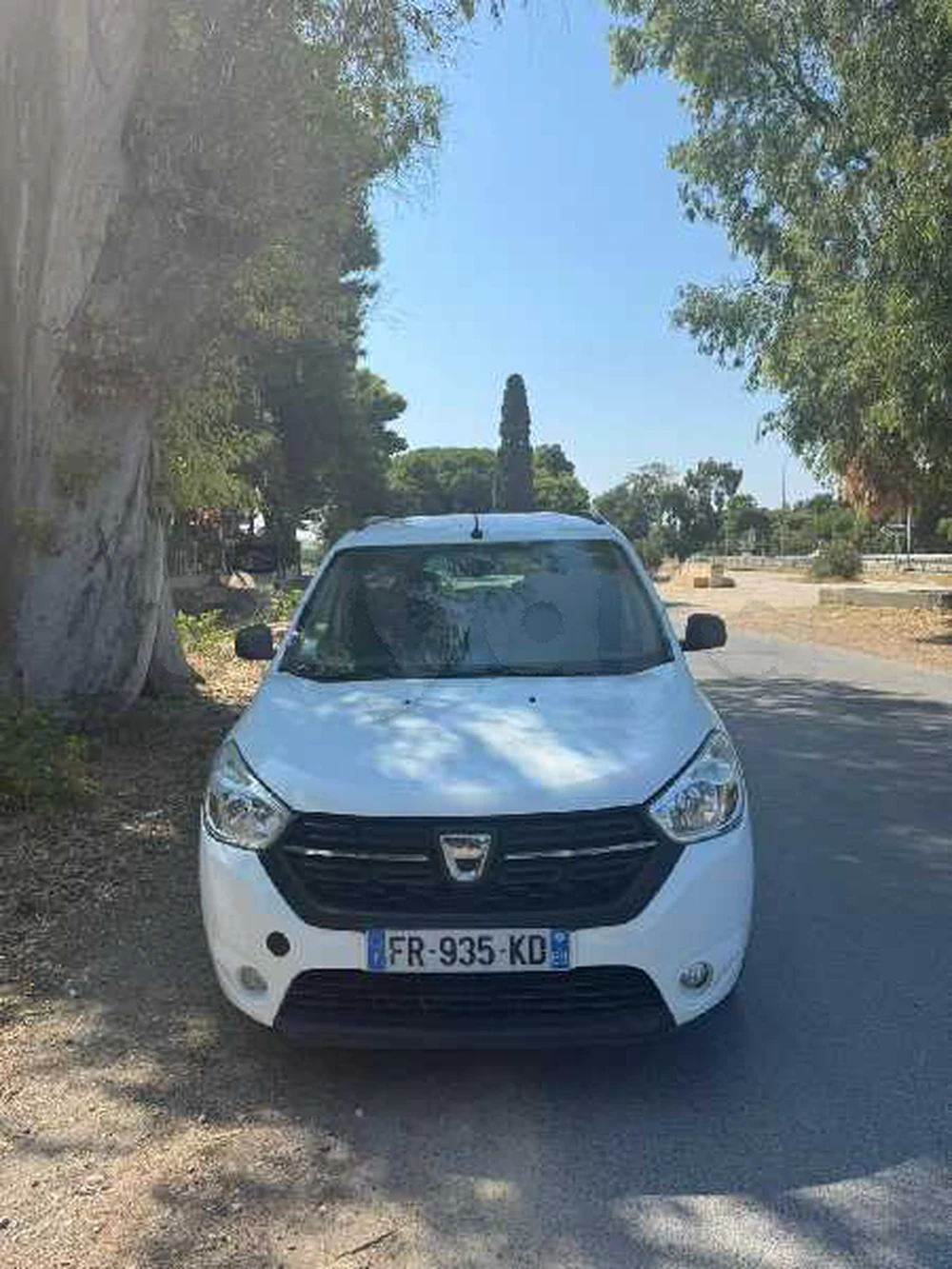 Carte voiture Dacia Lodgy