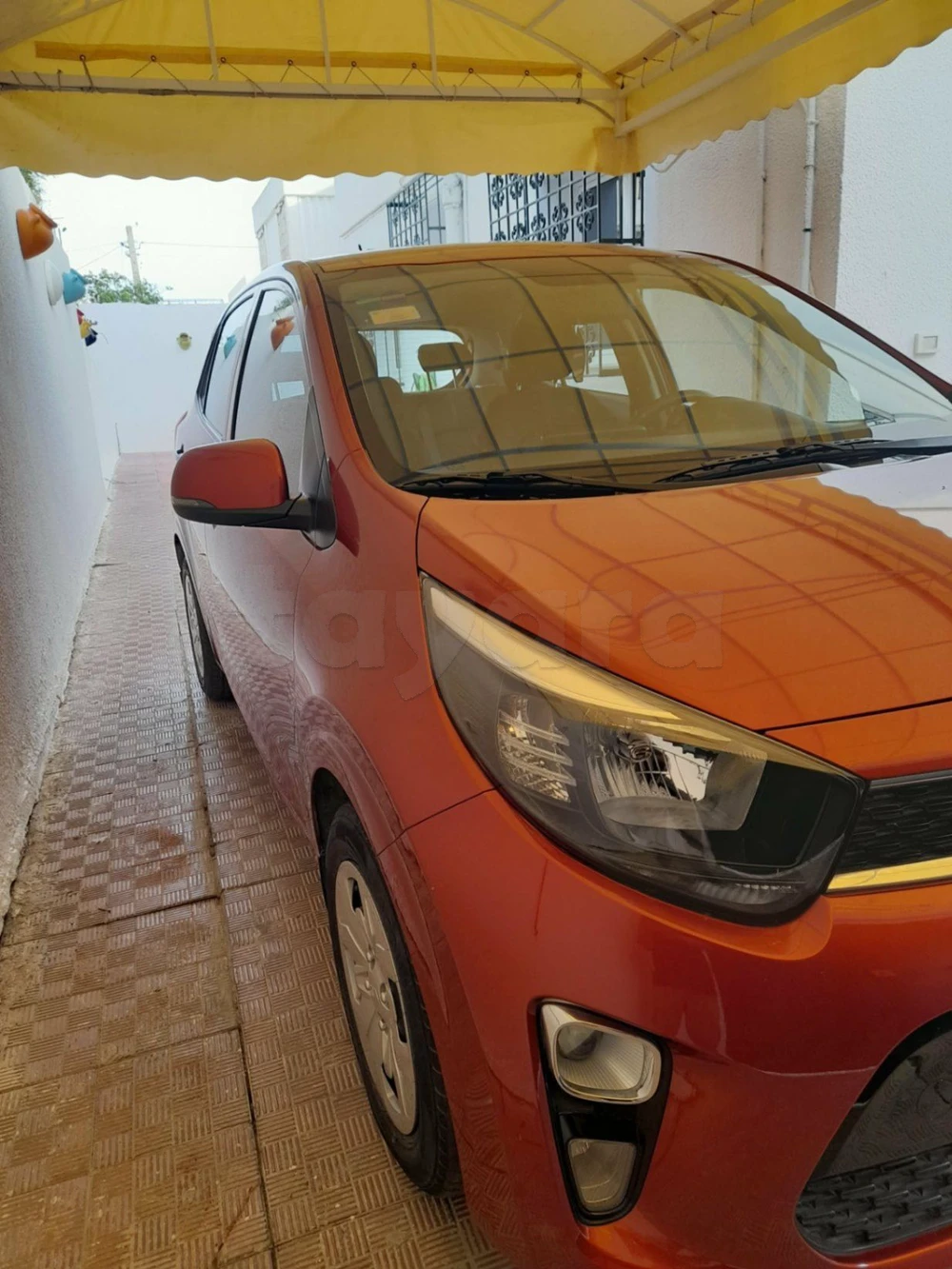 Kia Picanto