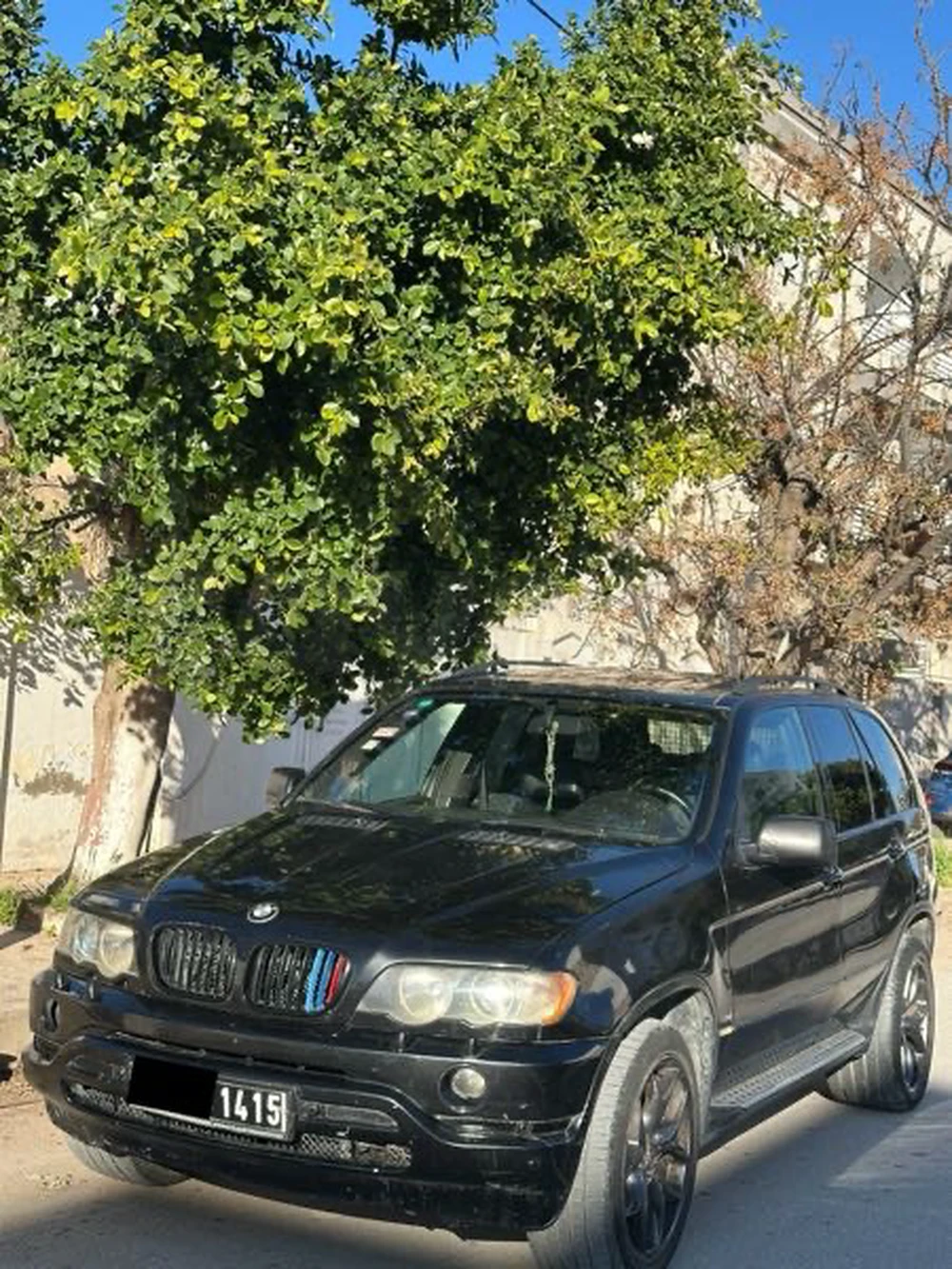 BMW X5