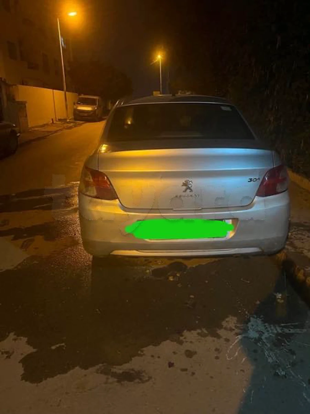 Carte voiture Peugeot 301