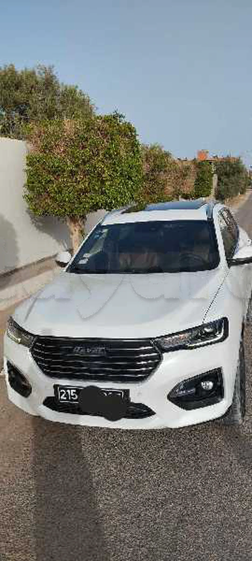 Carte voiture Haval H6