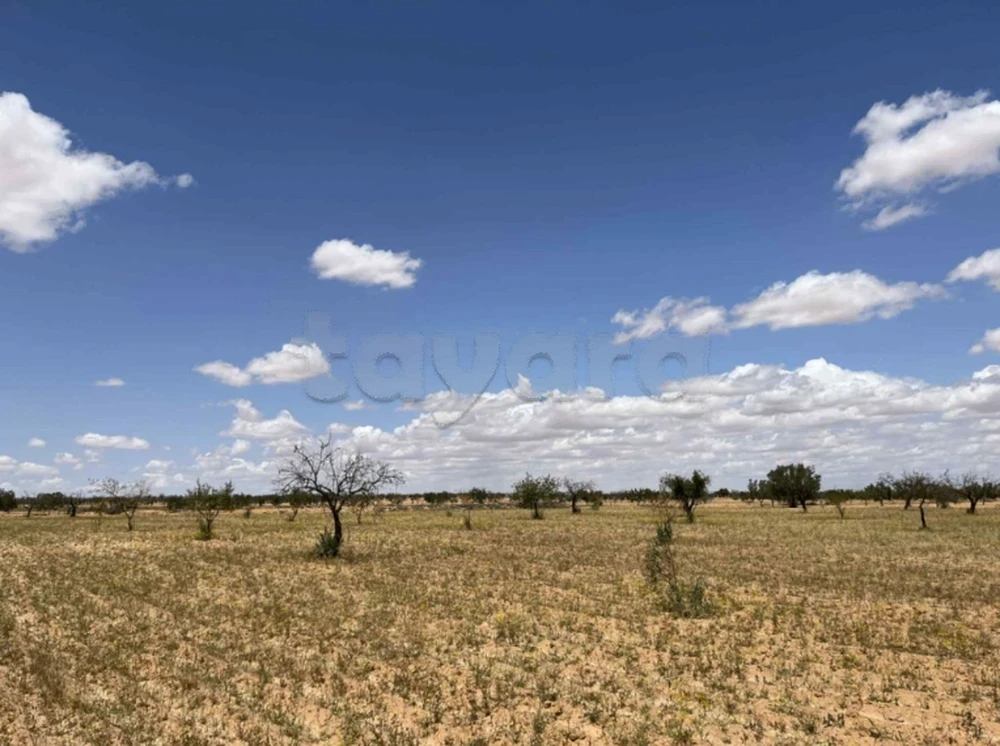Terrain agricole à vendre Rte Manzel Chaker km18