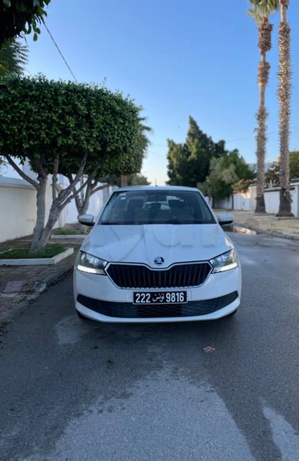 Carte voiture Skoda Fabia