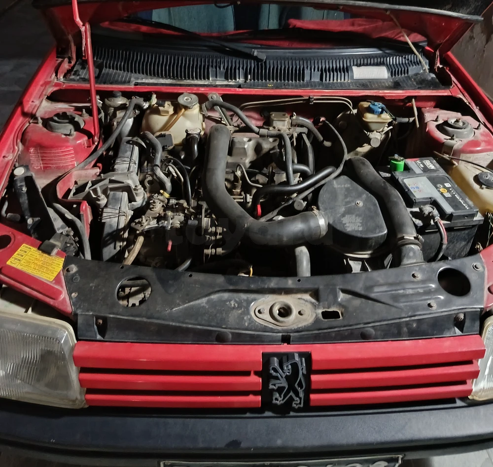 Carte voiture Peugeot 205