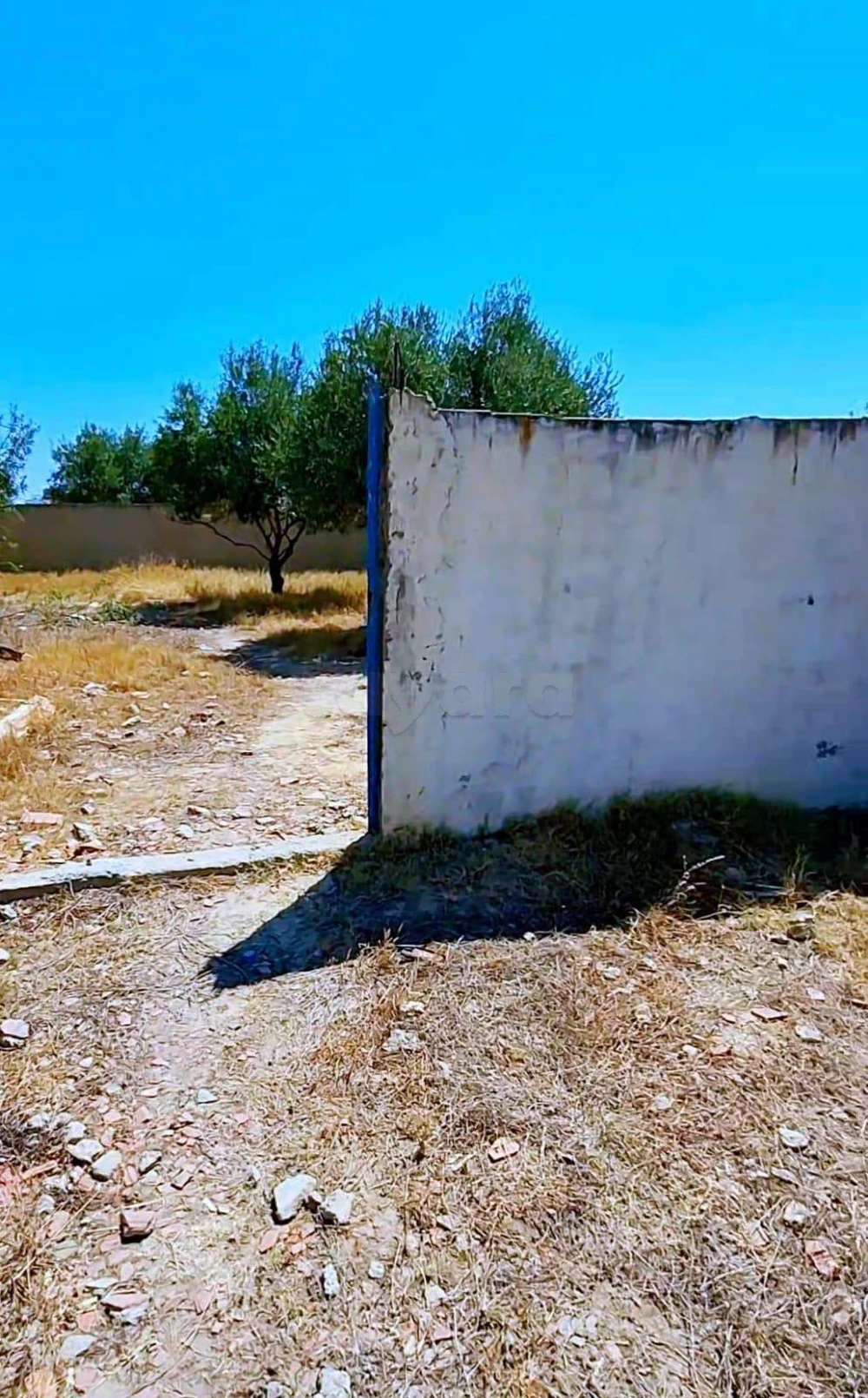 TERRAIN 300 m2 CLOTURER A KANTAOUI HAMMEM SOUSSE