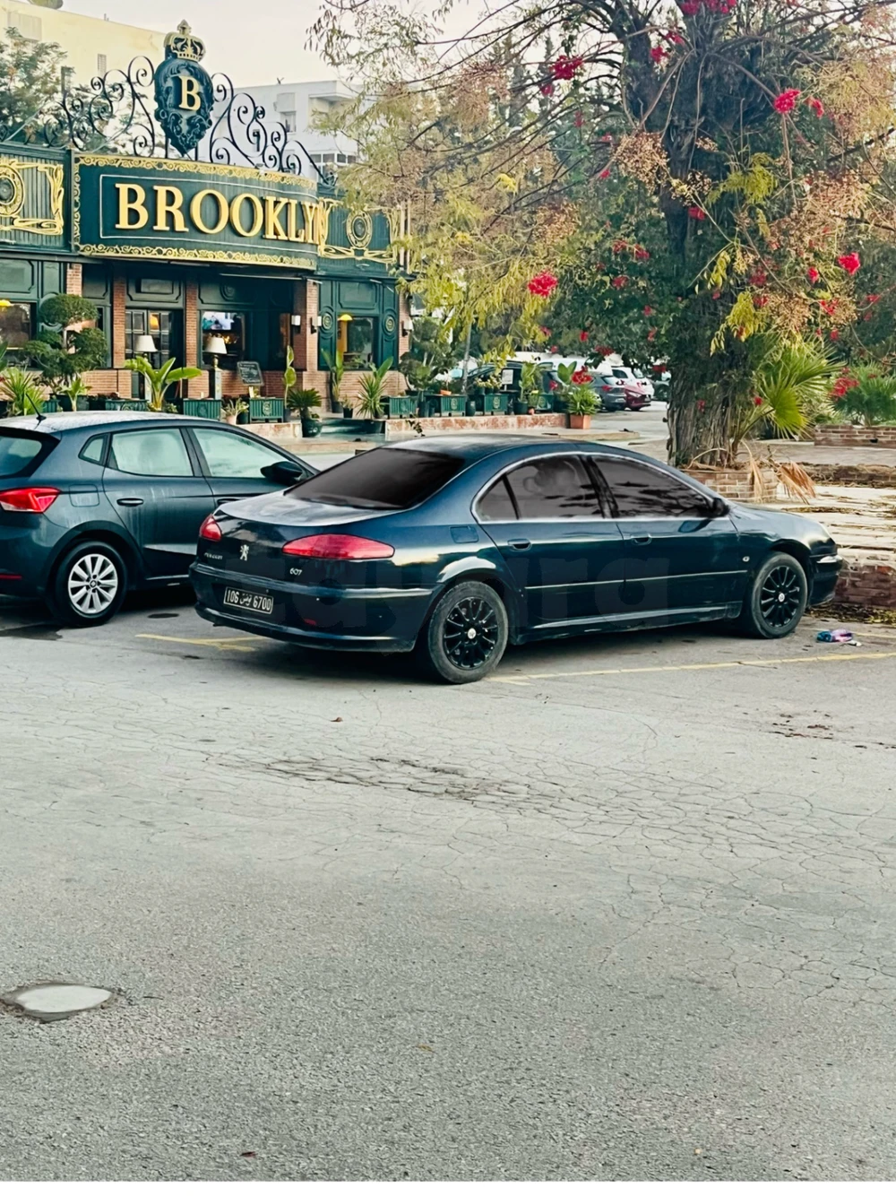 Peugeot 607