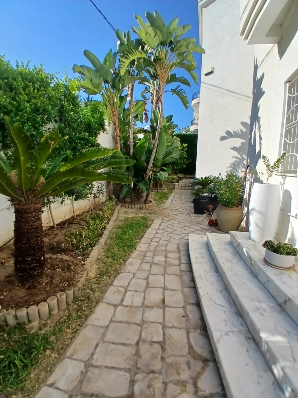 Villa de 534m² bou mhal basatine