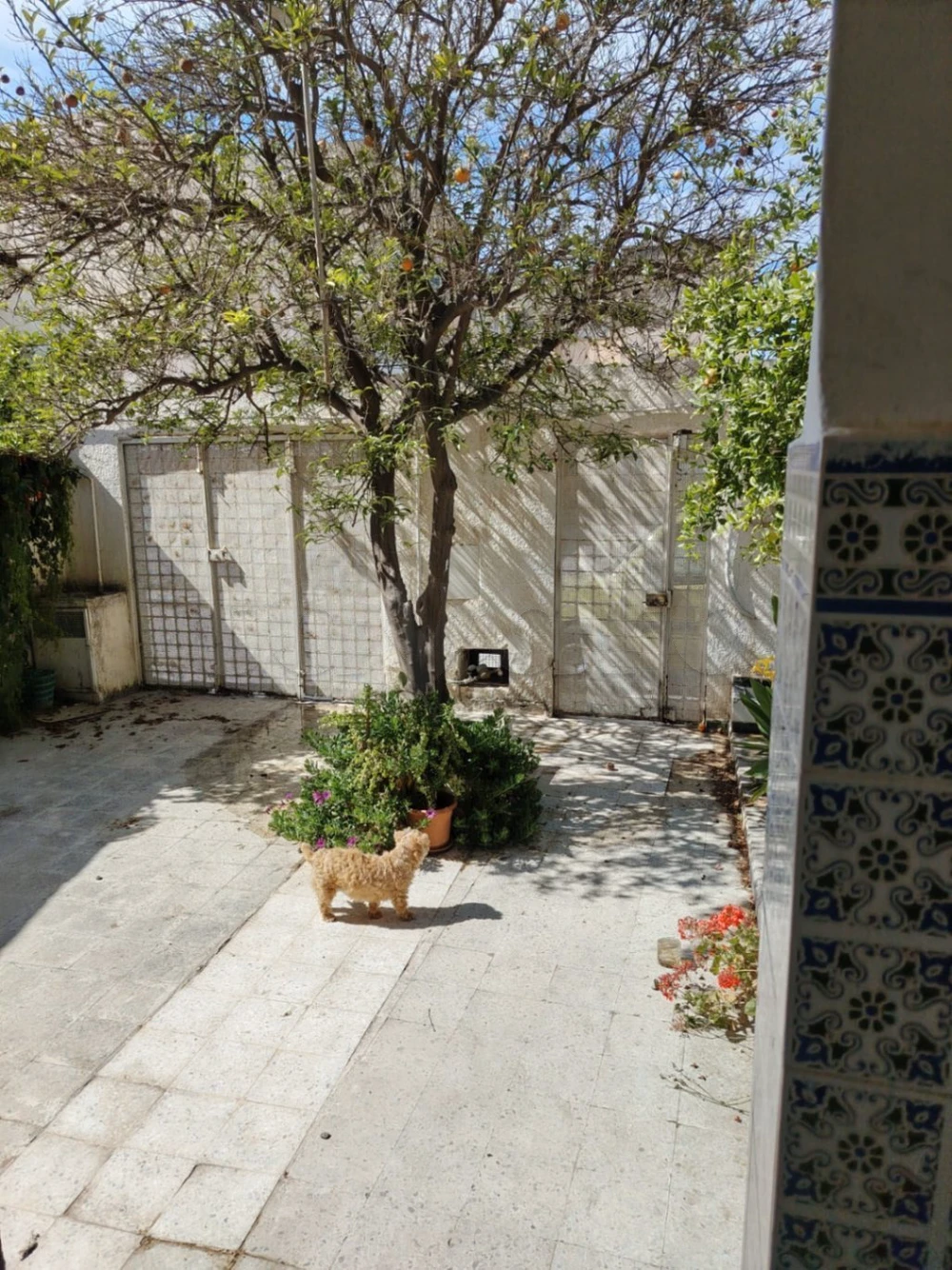 À vendre une maison à rades Mohamed ali