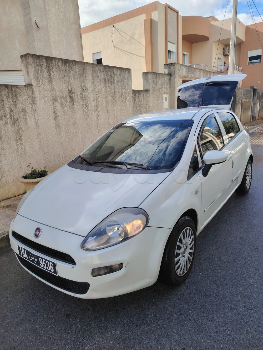 Carte voiture Fiat Punto