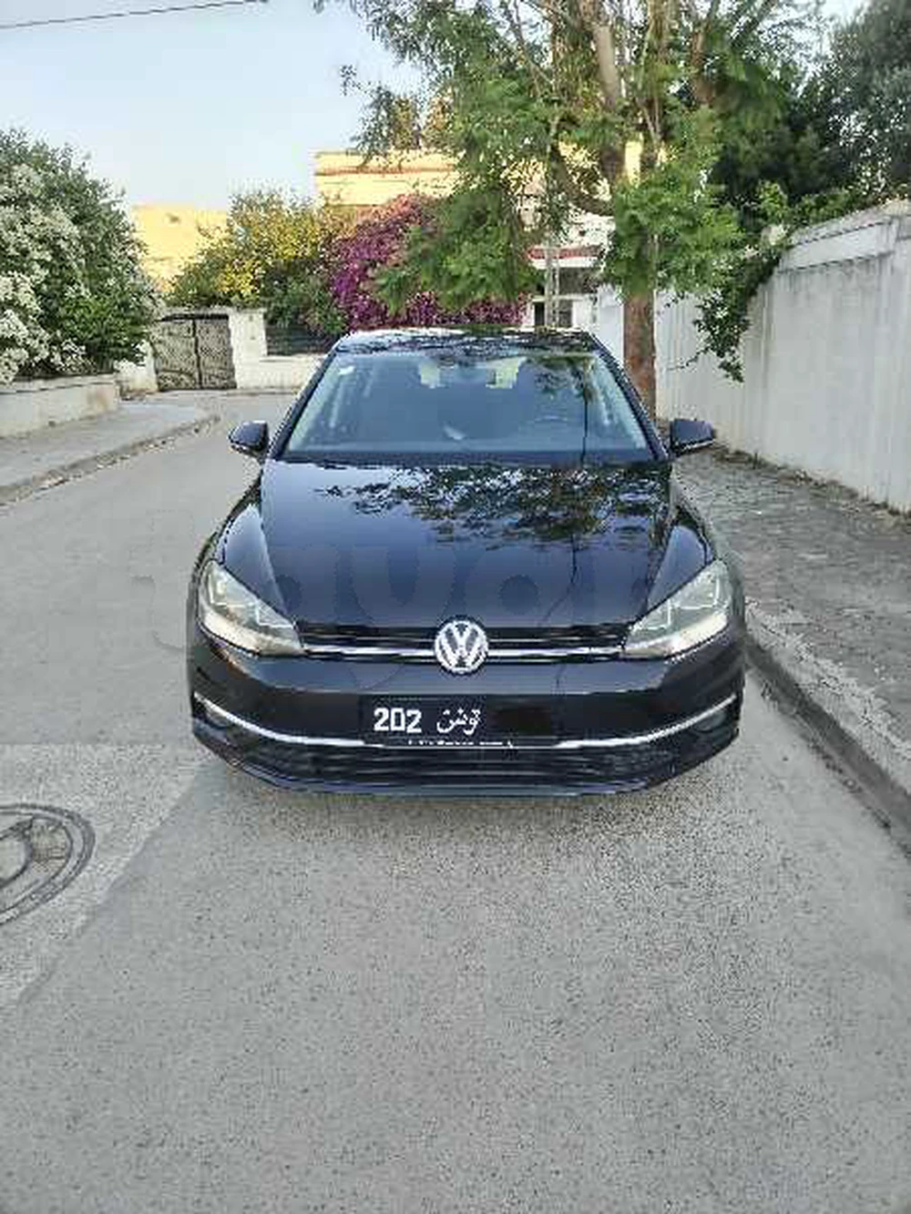 Carte voiture Volkswagen Golf
