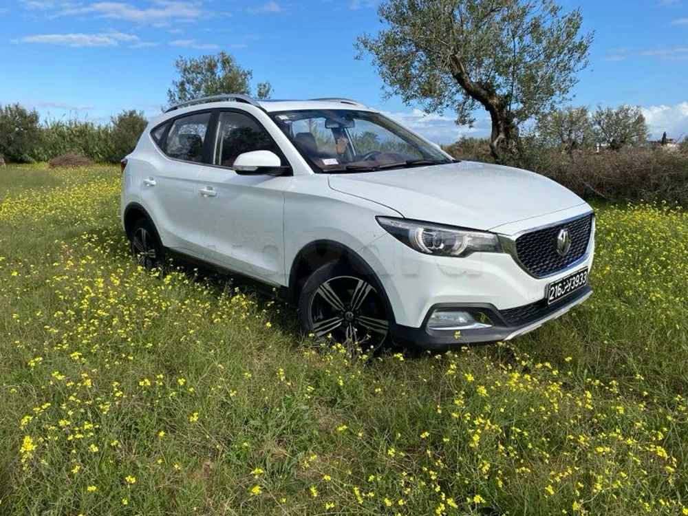 Carte voiture MG ZS