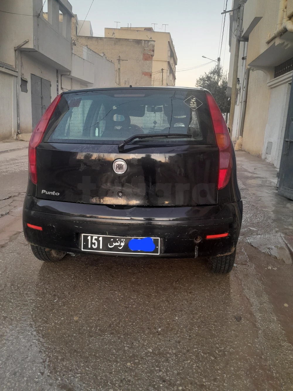 Carte voiture Fiat Punto