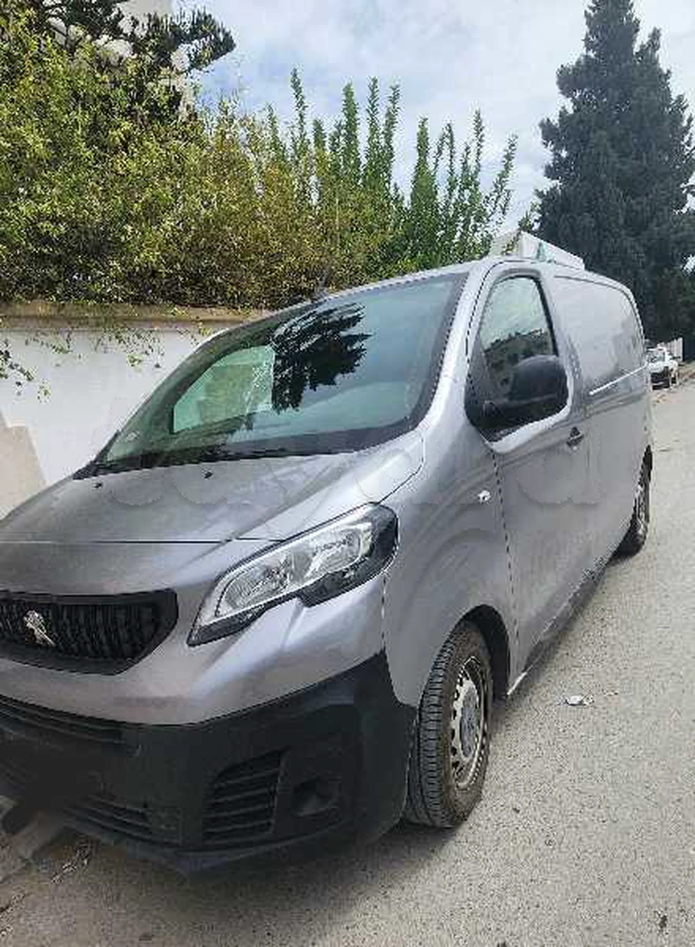 Peugeot Expert
