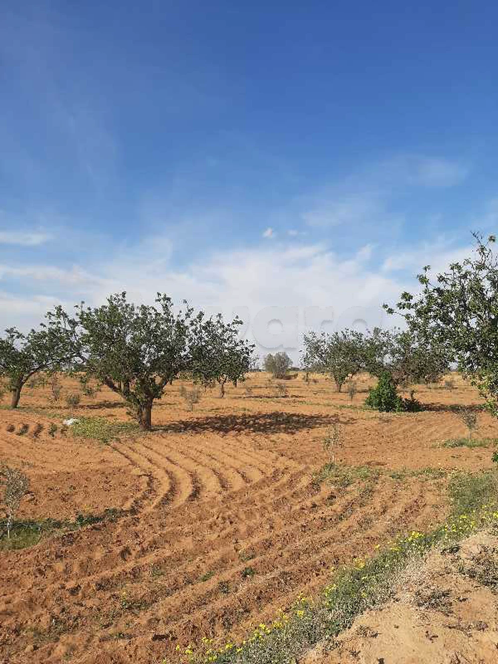 27000m2 route elain km 20