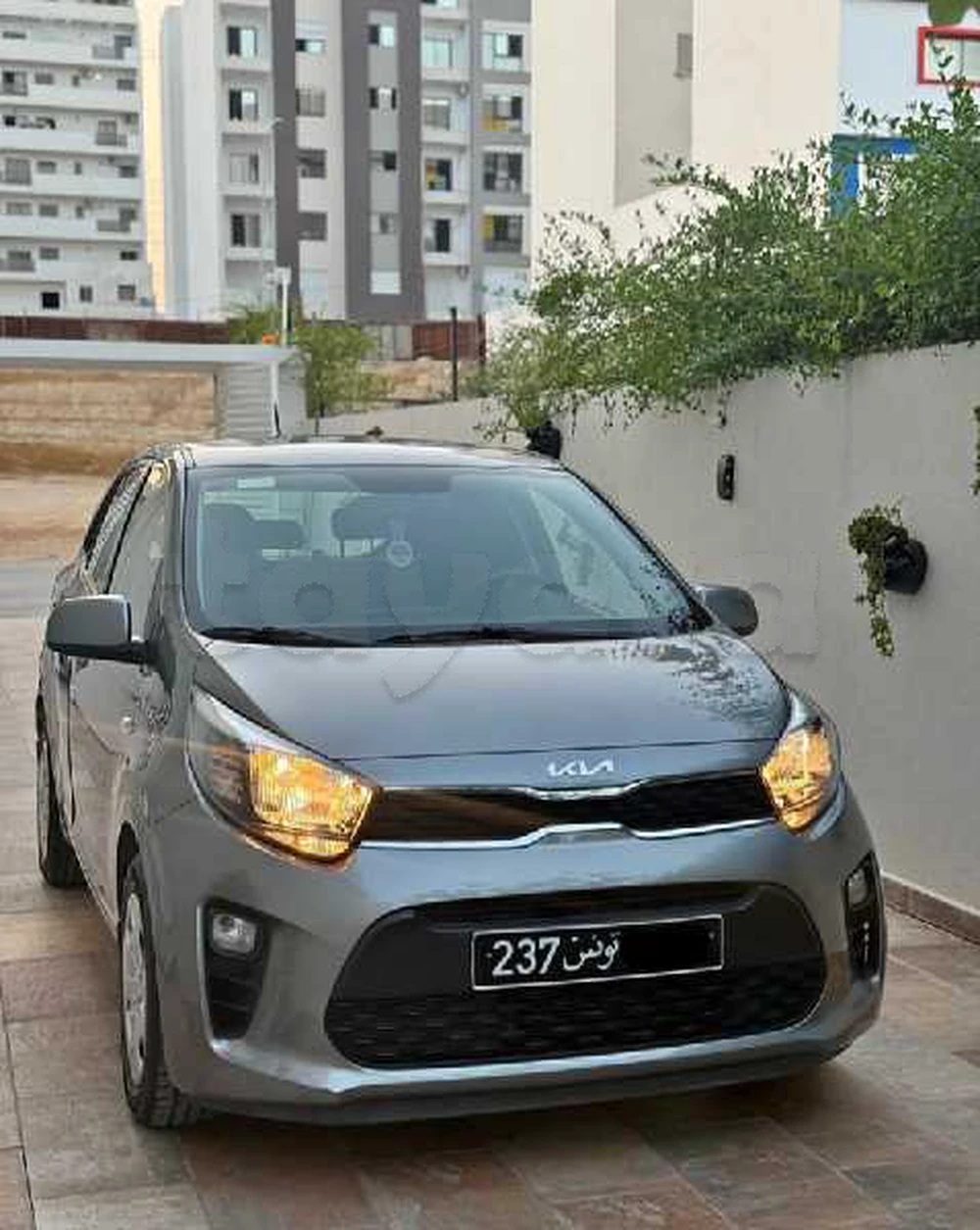 Carte voiture Kia Picanto