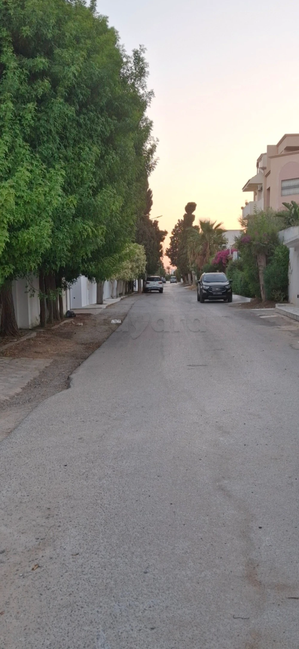 Terrain hammamet nord zone radisson blue