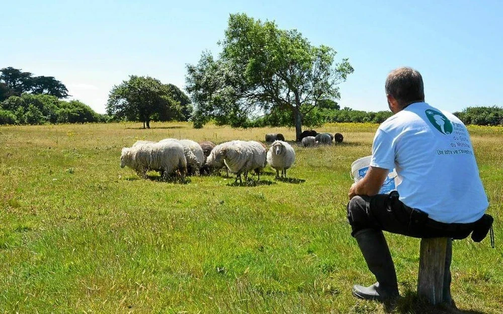Gardien de ferme