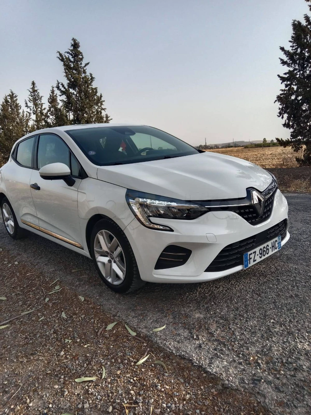 Carte voiture Renault Clio