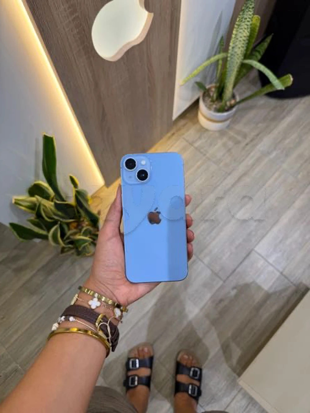 iPhone 14
