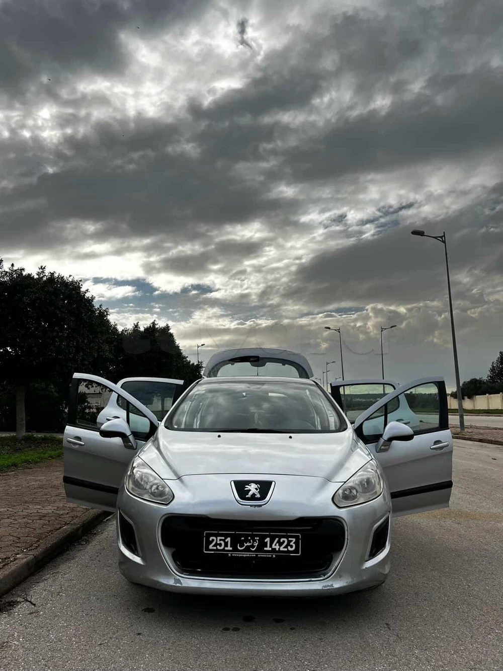 Carte voiture Peugeot 308