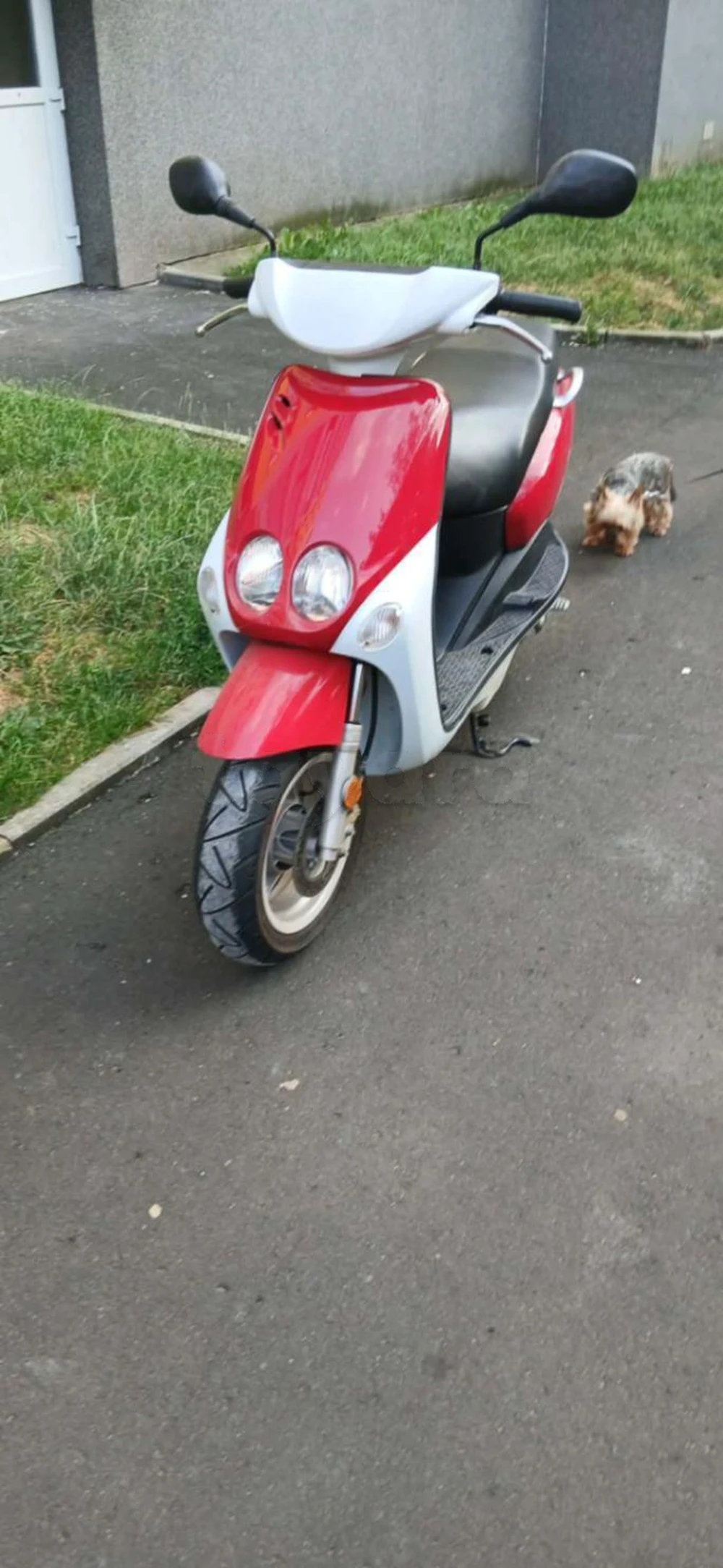 Ovetto 50cc /2002(joignable sur 92781251)