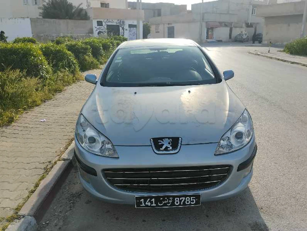 Peugeot 407