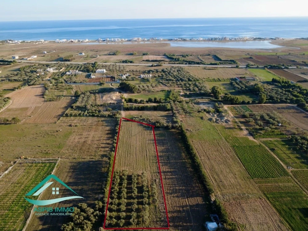Terrain 8300 m² à Kelibia