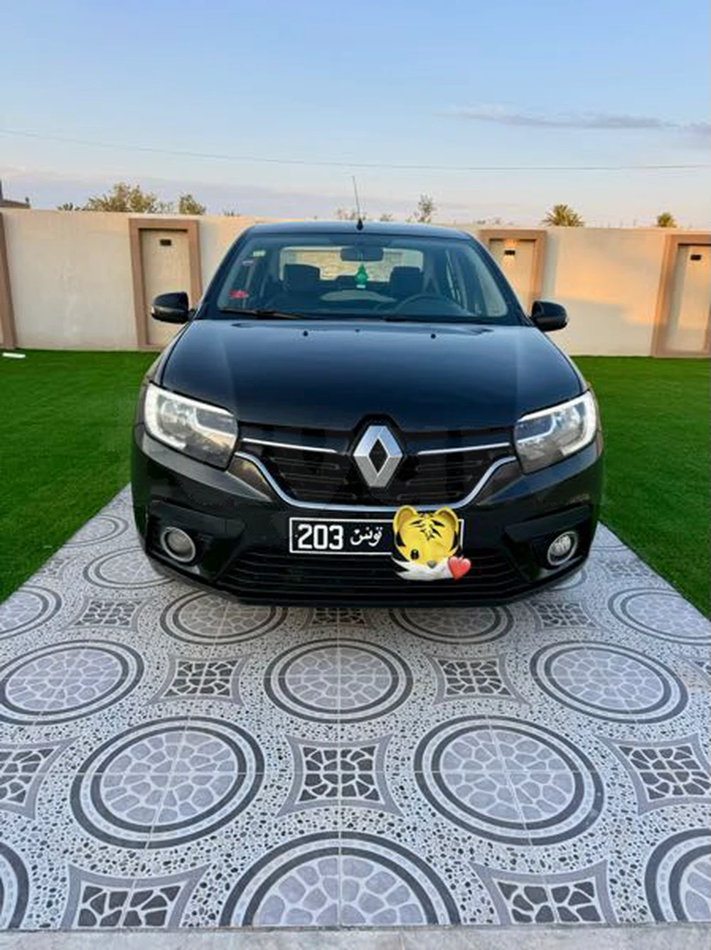 Carte voiture Renault Symbol