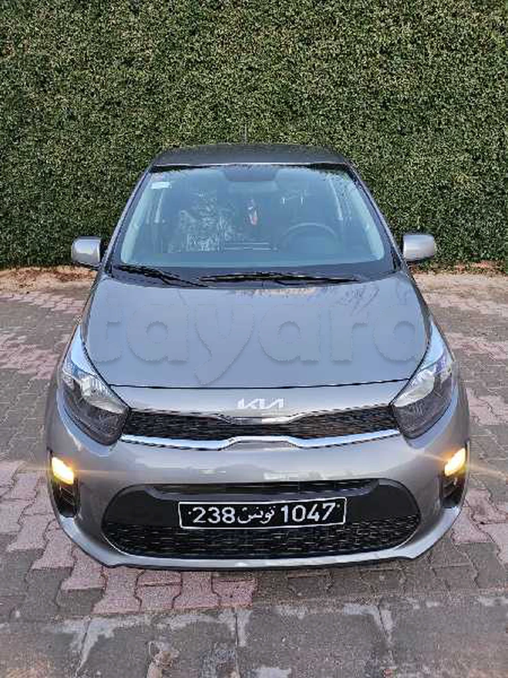 Carte voiture Kia Picanto