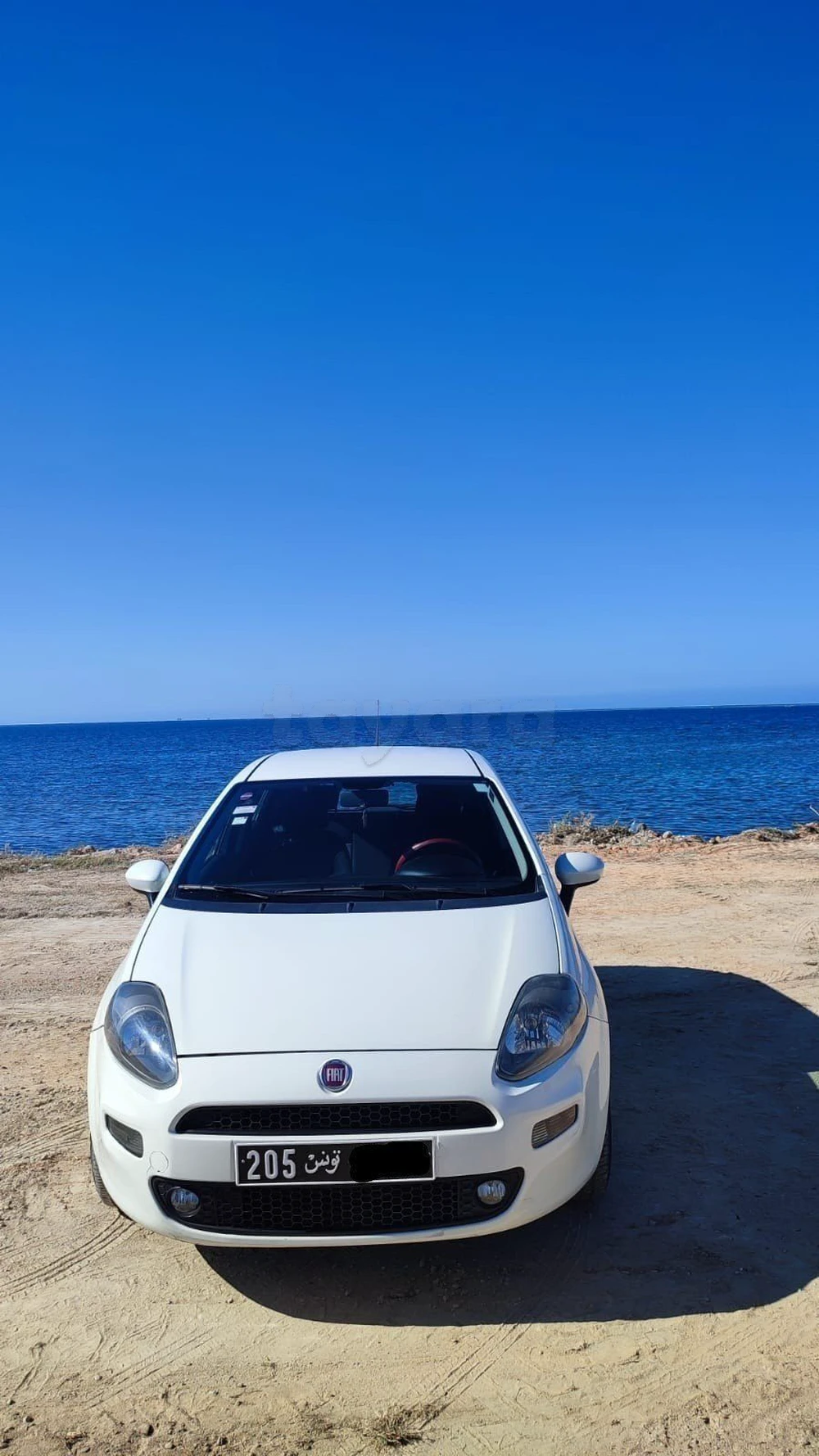 Carte voiture Fiat Punto