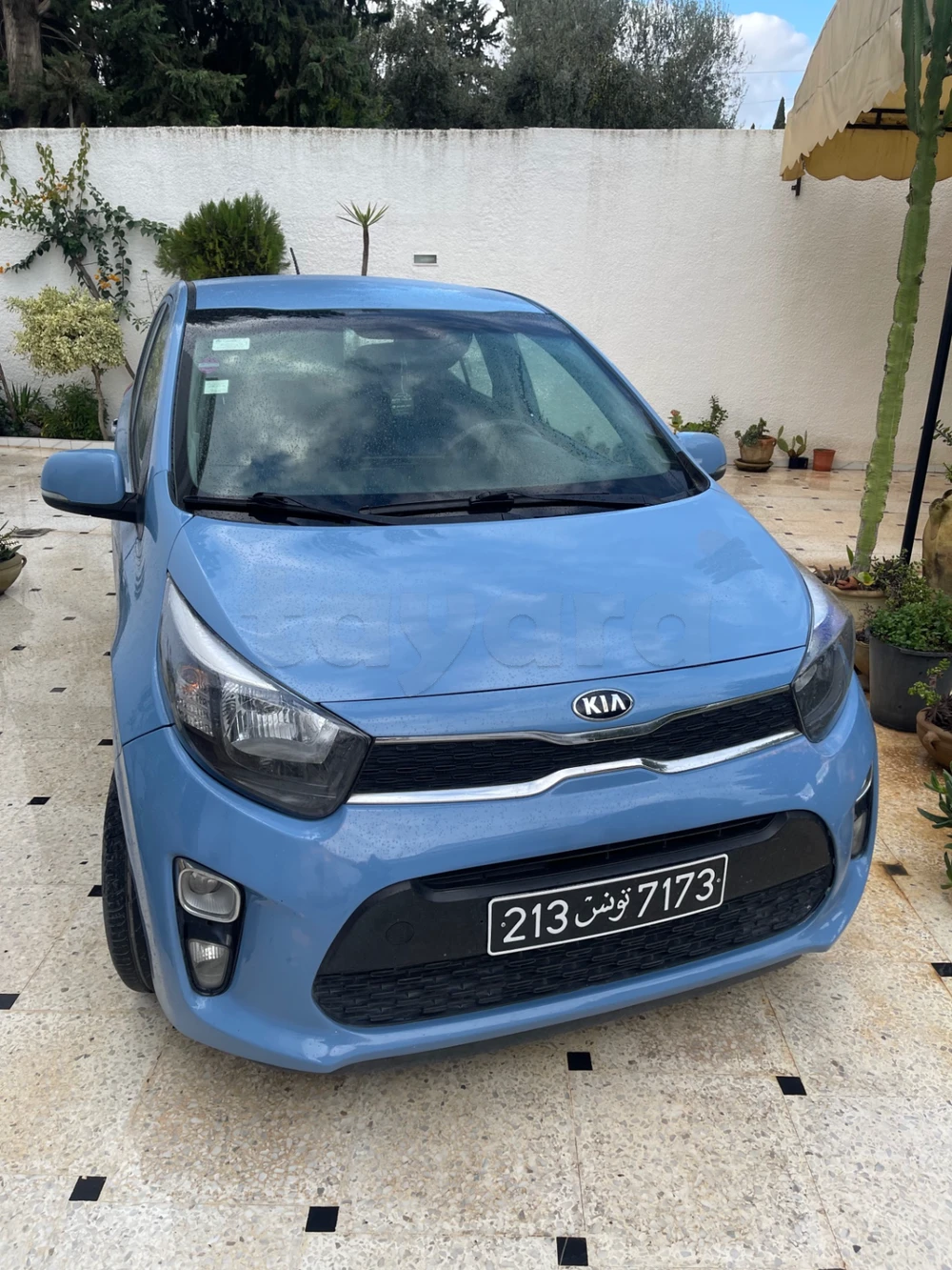 Carte voiture Kia Picanto