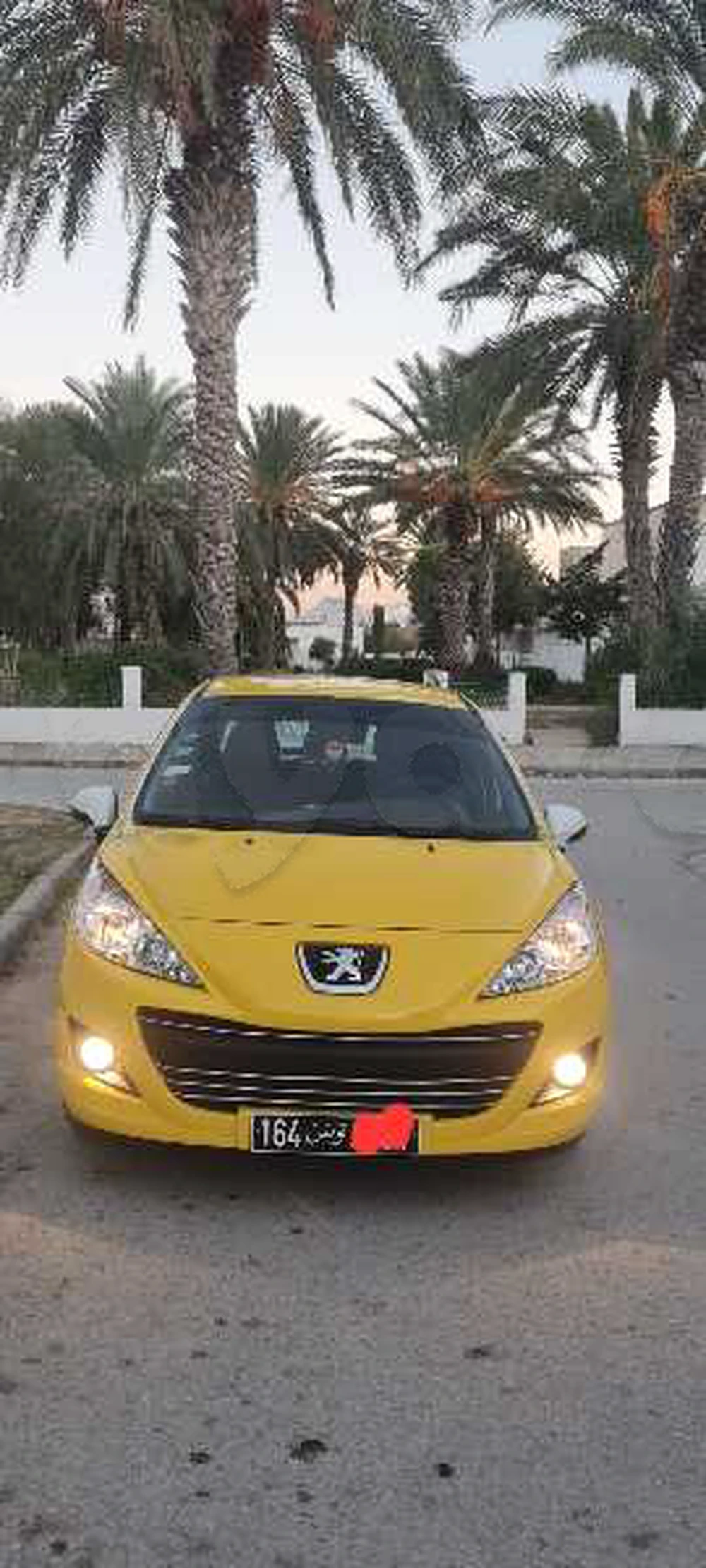 Carte voiture Peugeot 207 SW