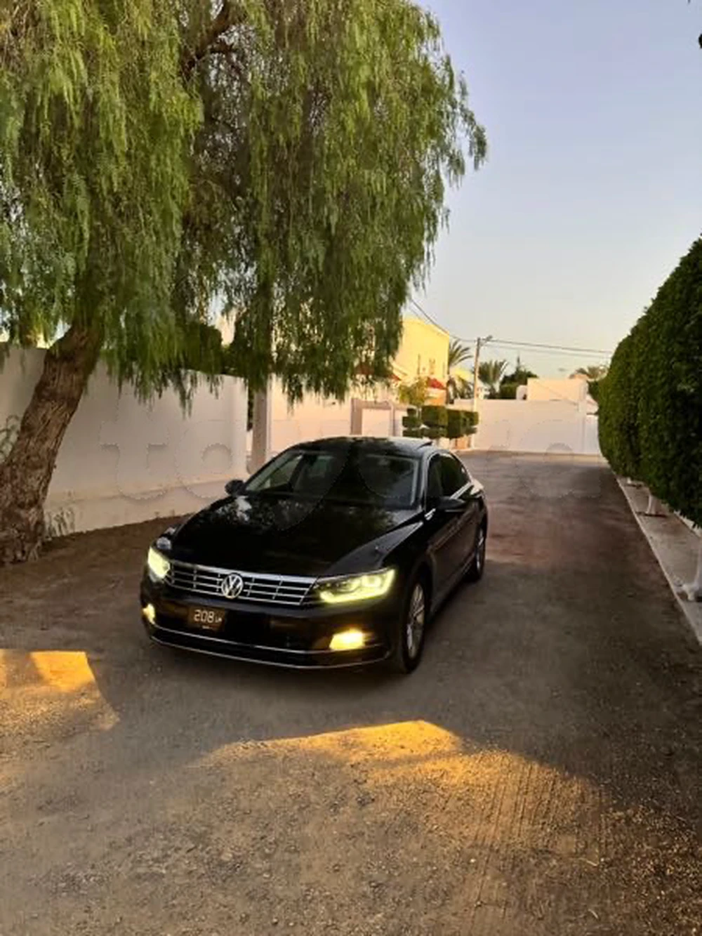 Carte voiture Volkswagen Passat