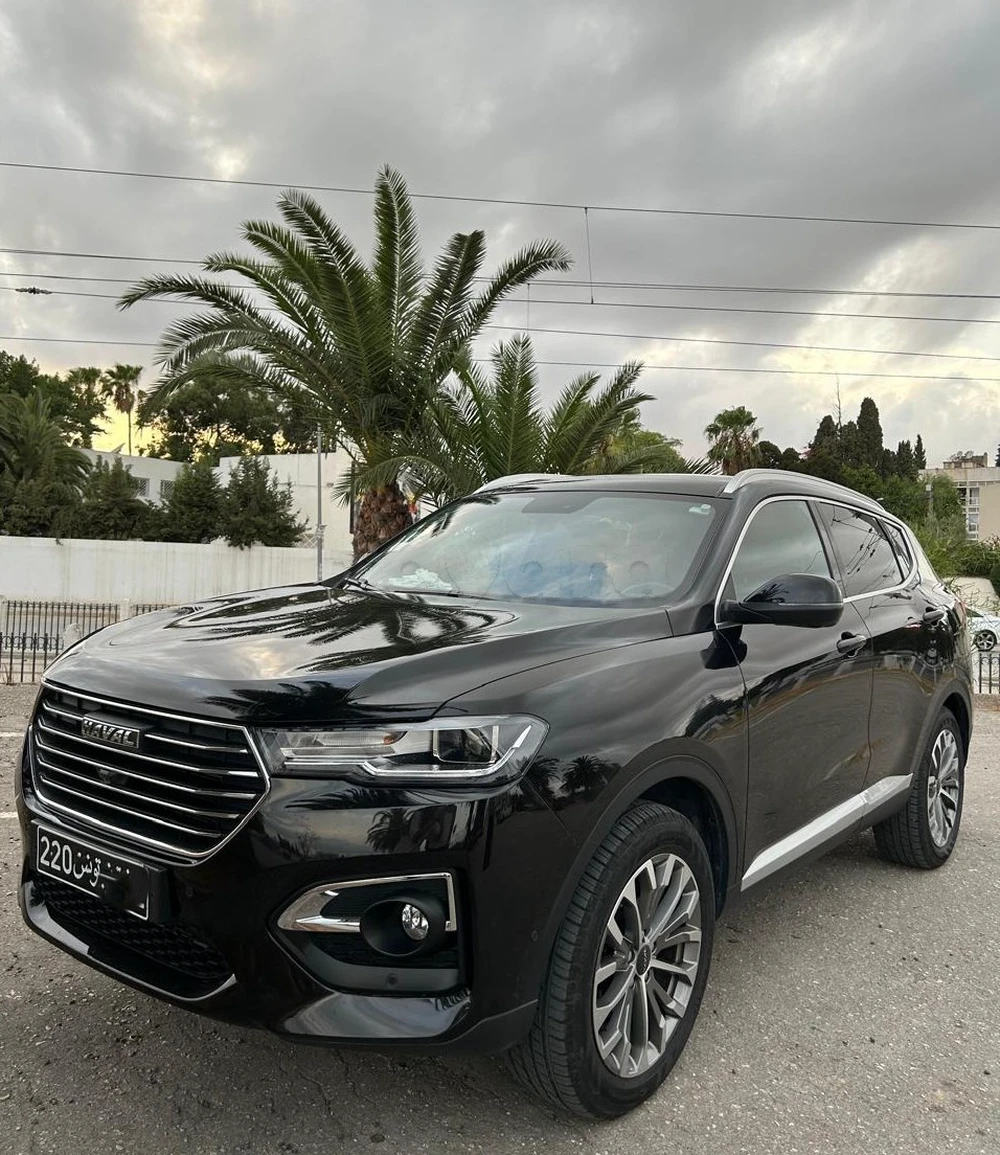 Carte voiture Haval H6