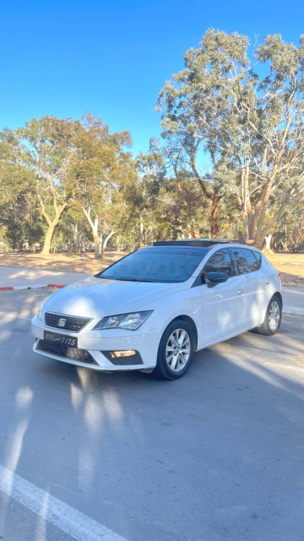 Carte voiture SEAT Leon