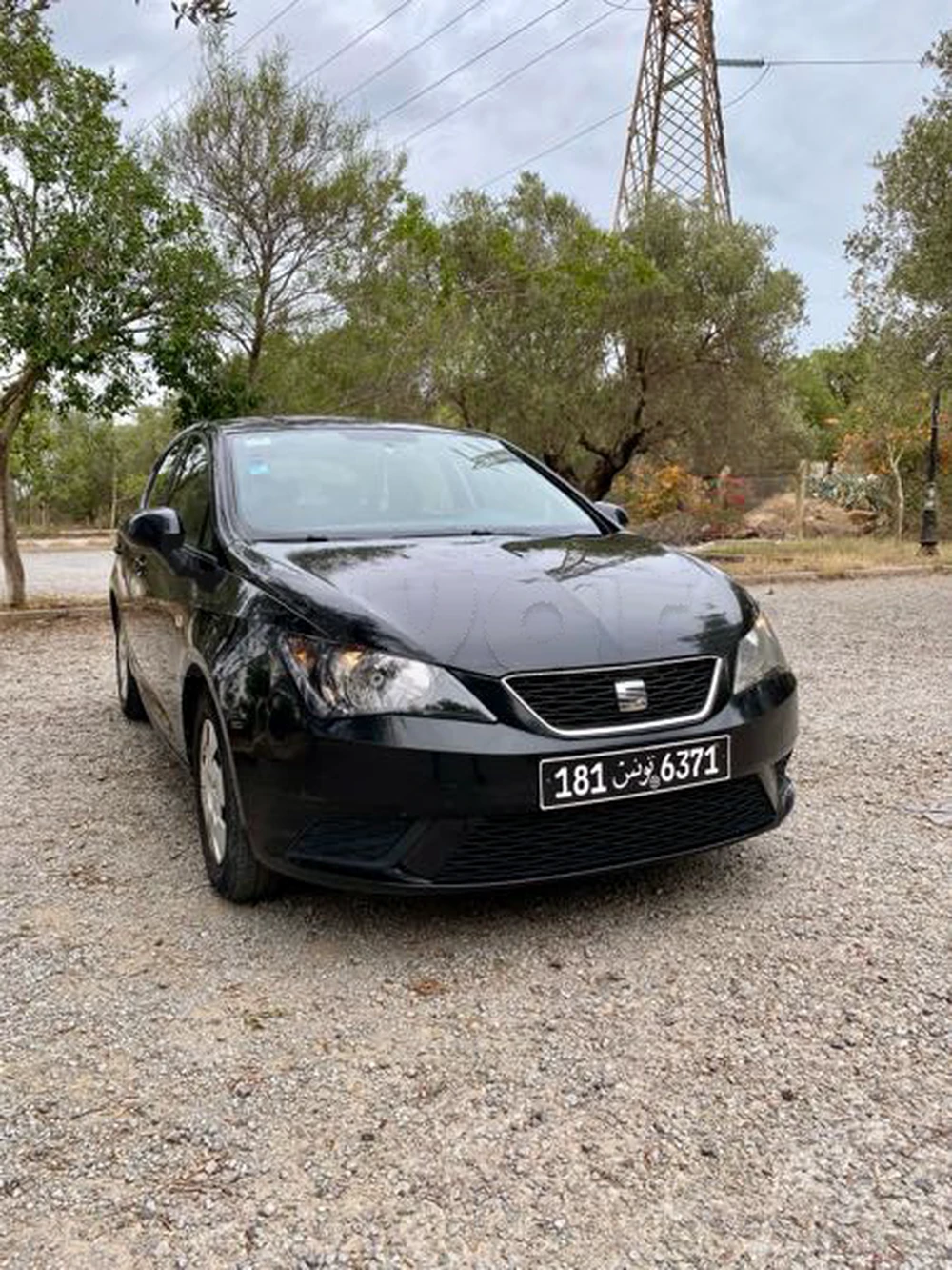 Carte voiture SEAT Ibiza