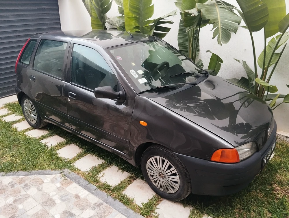 Carte voiture Fiat Punto